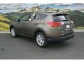 Pyrite Mica - RAV4 Limited AWD Photo No. 3