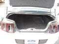 Ingot Silver - Mustang V6 Coupe Photo No. 10