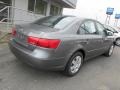 Willow Gray - Sonata GLS Photo No. 9