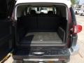 Black Cherry Pearl - FJ Cruiser  Photo No. 4