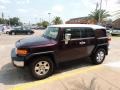 Black Cherry Pearl - FJ Cruiser  Photo No. 5