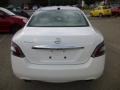 Winter Frost White - Maxima 3.5 SV Photo No. 6