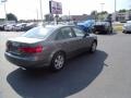 Willow Gray - Sonata GLS Photo No. 5