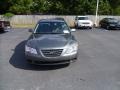 Willow Gray - Sonata GLS Photo No. 7