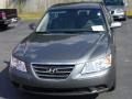 Willow Gray - Sonata GLS Photo No. 8