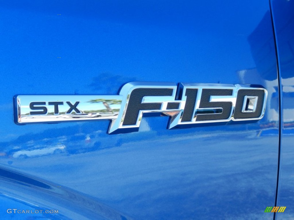 2013 F150 STX Regular Cab 4x4 - Blue Flame Metallic / Steel Gray photo #5