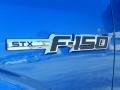 2013 Blue Flame Metallic Ford F150 STX Regular Cab 4x4  photo #5