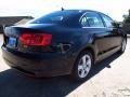 Black - Jetta TDI Sedan Photo No. 6