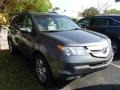 Sterling Gray Metallic - MDX Technology Photo No. 1
