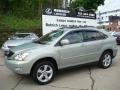 2007 Bamboo Green Pearl Lexus RX 350 AWD  photo #1