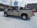 2004 Arizona Beige Metallic Ford F150 XLT SuperCrew 4x4  photo #15