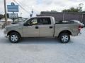 2004 Arizona Beige Metallic Ford F150 XLT SuperCrew 4x4  photo #17