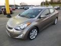 Desert Bronze - Elantra Limited Photo No. 3
