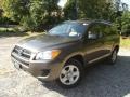 Pyrite Metallic - RAV4 I4 4WD Photo No. 1