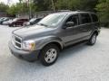 2006 Mineral Gray Metallic Dodge Durango SXT 4x4  photo #10