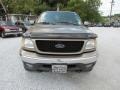 Arizona Beige Metallic - F150 XLT SuperCrew 4x4 Photo No. 12