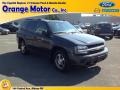 2007 Graphite Metallic Chevrolet TrailBlazer LS 4x4 #86354203