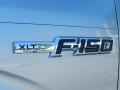 2013 Ingot Silver Metallic Ford F150 XLT Regular Cab  photo #5
