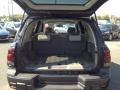 Graphite Metallic - TrailBlazer LS 4x4 Photo No. 22