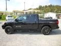 2010 Galaxy Black Nissan Titan PRO-4X Crew Cab 4x4  photo #4