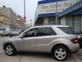 Pewter Metallic - ML 350 4Matic Photo No. 9