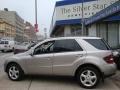 2006 Pewter Metallic Mercedes-Benz ML 350 4Matic  photo #9