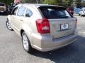 Light Sandstone Metallic - Caliber SXT Photo No. 9