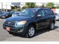Black Forest Pearl - RAV4 I4 4WD Photo No. 3