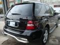 Black - ML 350 4Matic Photo No. 4