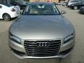 Savana Beige Pearl Effect - A7 3.0T quattro Premium Photo No. 8