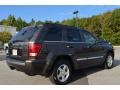 Dark Khaki Pearl - Grand Cherokee Limited 4x4 Photo No. 3