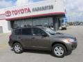 Pyrite Metallic - RAV4 I4 4WD Photo No. 2