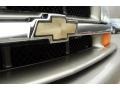 Light Pewter Metallic - Blazer LS 4x4 Photo No. 12