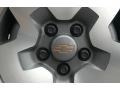 Light Pewter Metallic - Blazer LS 4x4 Photo No. 13