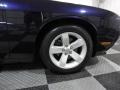 2012 Blackberry Pearl Dodge Challenger SXT  photo #8