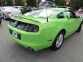 2013 Gotta Have It Green Ford Mustang V6 Coupe  photo #10