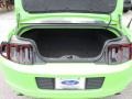 2013 Gotta Have It Green Ford Mustang V6 Coupe  photo #11