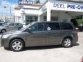 Meteor Gray Metallic - Routan SE Photo No. 2