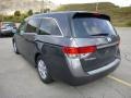 Smoky Topaz Metallic - Odyssey EX Photo No. 5