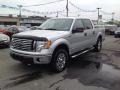 2010 Ingot Silver Metallic Ford F150 XLT SuperCrew 4x4  photo #3