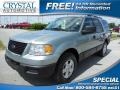 Pewter Metallic 2006 Ford Expedition XLS