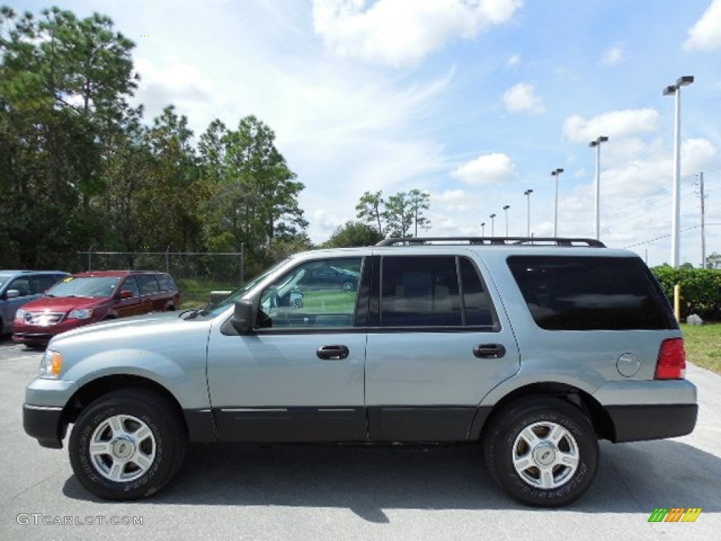 Pewter Metallic 2006 Ford Expedition XLS Exterior Photo #86476251