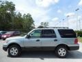 Pewter Metallic 2006 Ford Expedition XLS Exterior