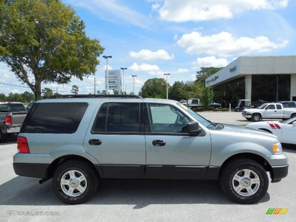 2006 Expedition XLS - Pewter Metallic / Medium Flint Grey photo #11