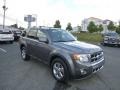 Sterling Grey Metallic 2011 Ford Escape Gallery