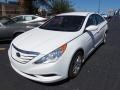 Shimmering White - Sonata GLS Photo No. 1
