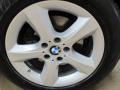 Jet Black - X5 3.0si Photo No. 16