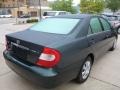 Aspen Green Pearl - Camry LE Photo No. 11