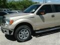 Pueblo Gold Metallic - F150 XLT SuperCrew Photo No. 2