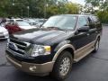 2011 Tuxedo Black Metallic Ford Expedition XLT 4x4  photo #3